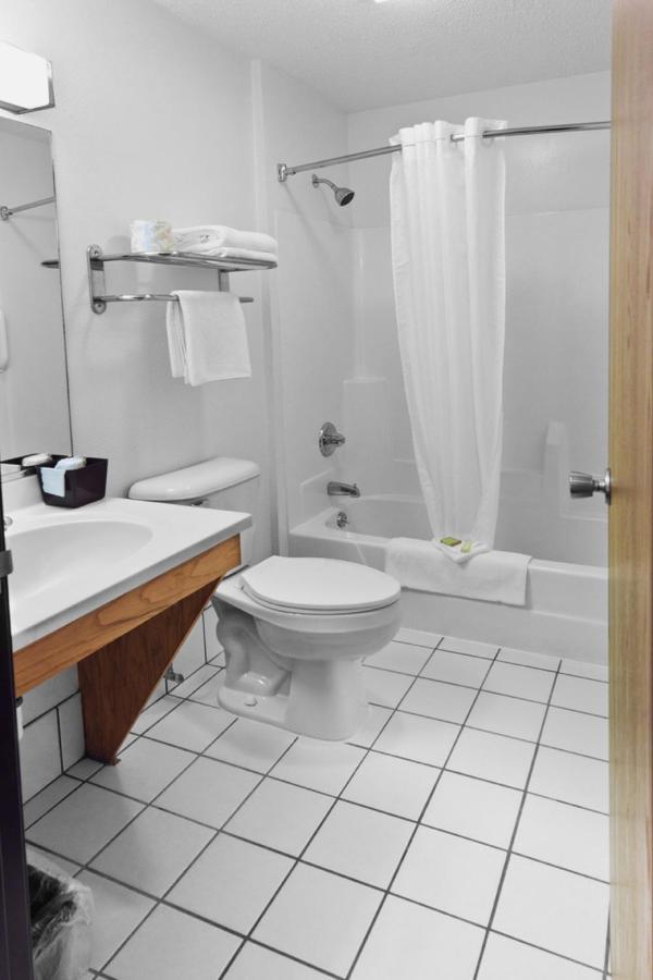 King Studio Suite - Non-Smoking