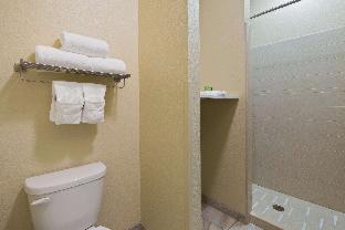 King Room Shower Only,1621426012:JPEG
