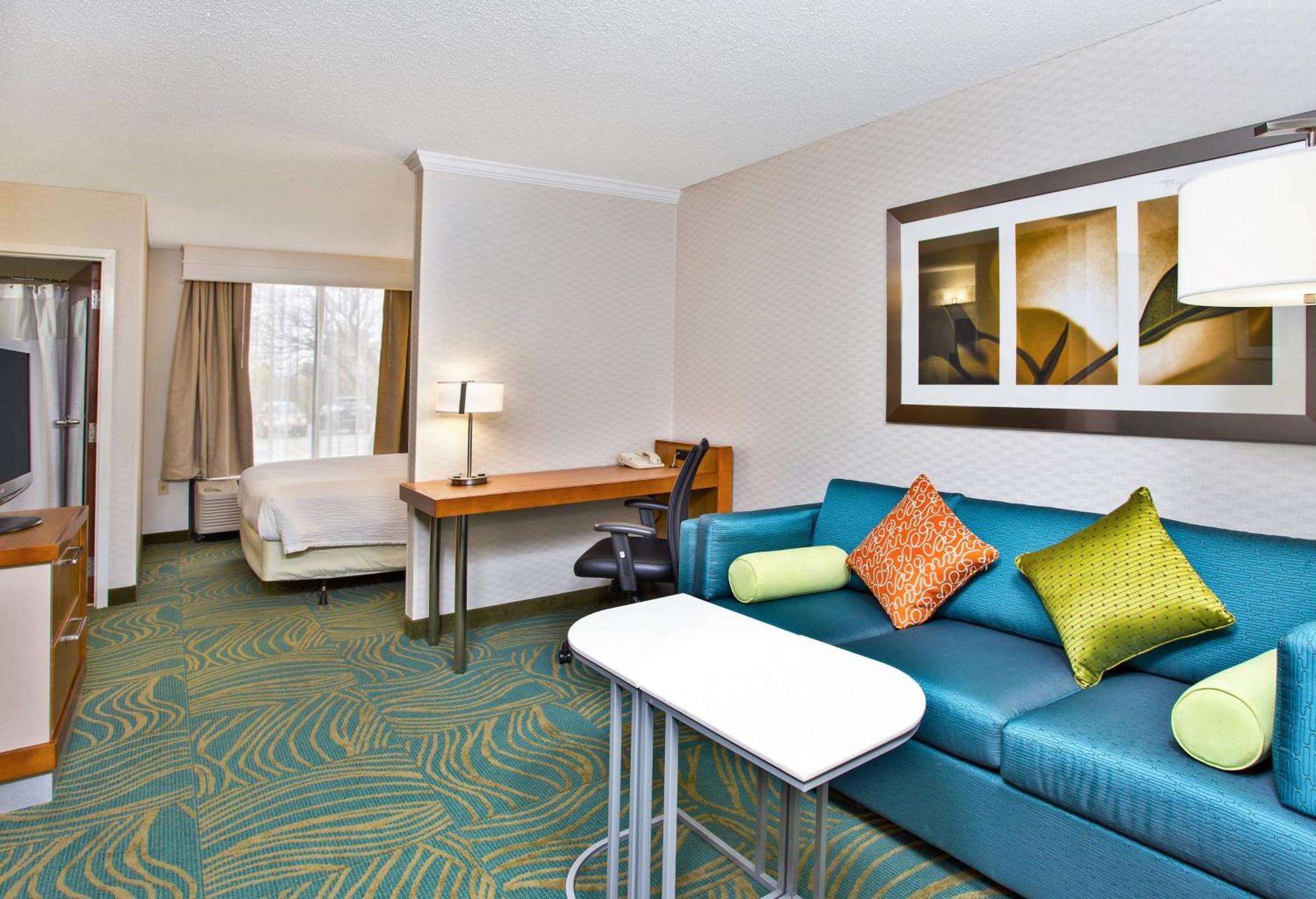 Executive King Suite with Sofa Bed
