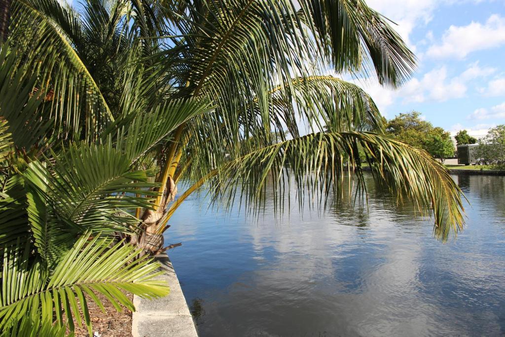 Queen Room,397088712:JPEG