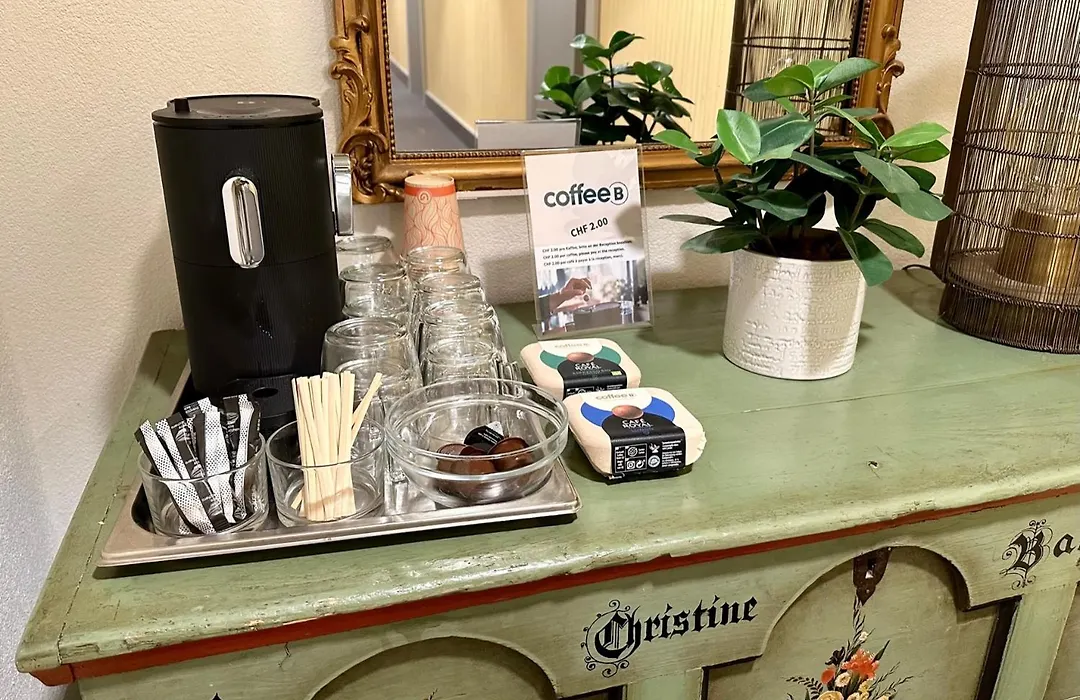 Hotel Jardin Bern-1