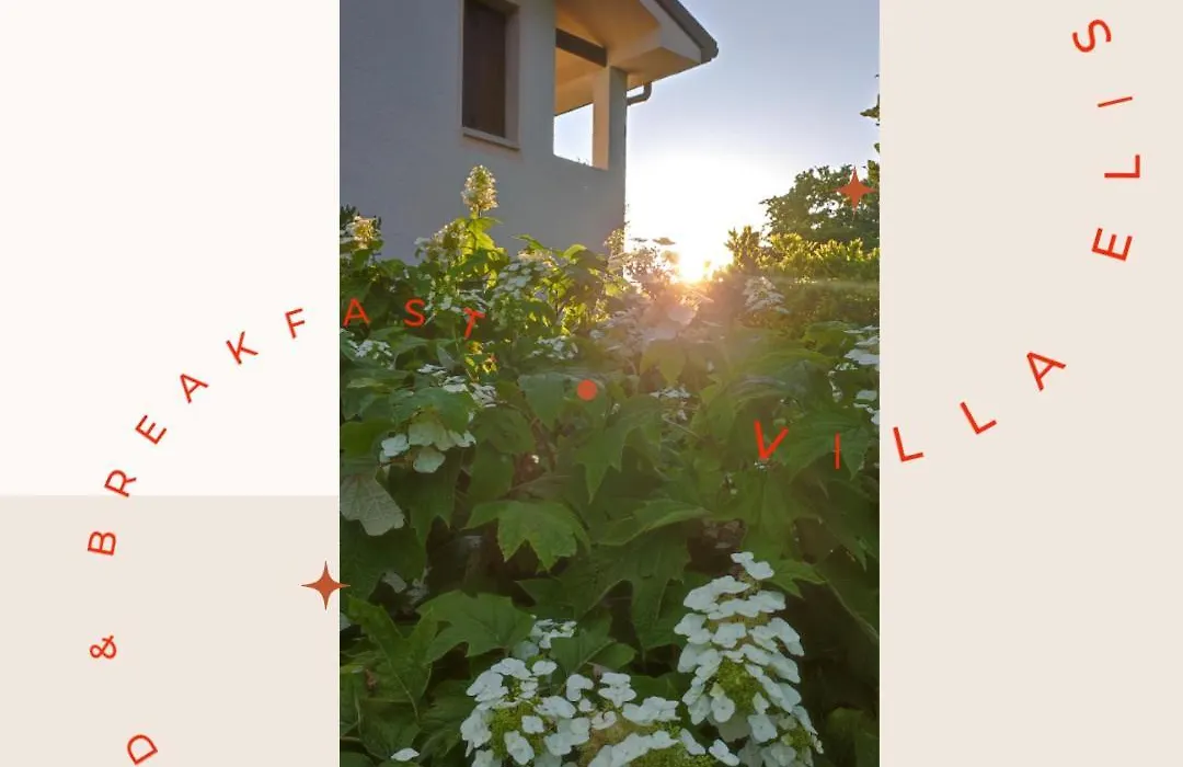 B&B Villa Elisa-1