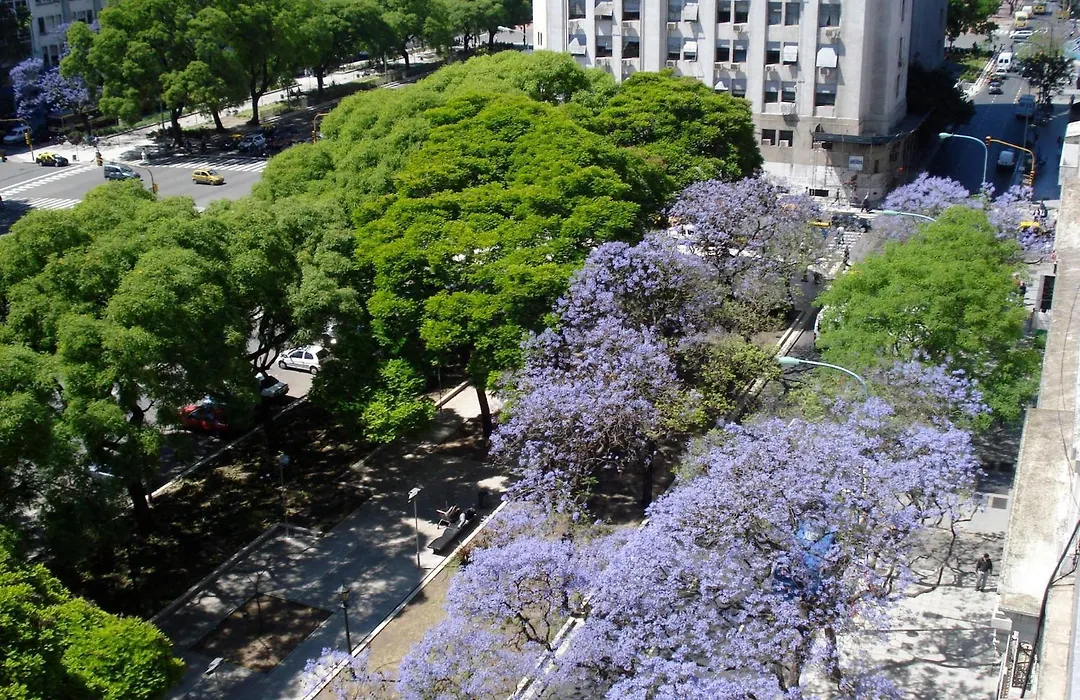 HTL 9 de Julio BsAs-1