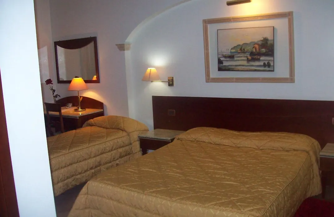 Palmed Hotel-1