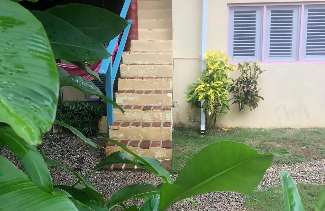 Hotel Casa Robinson-1
