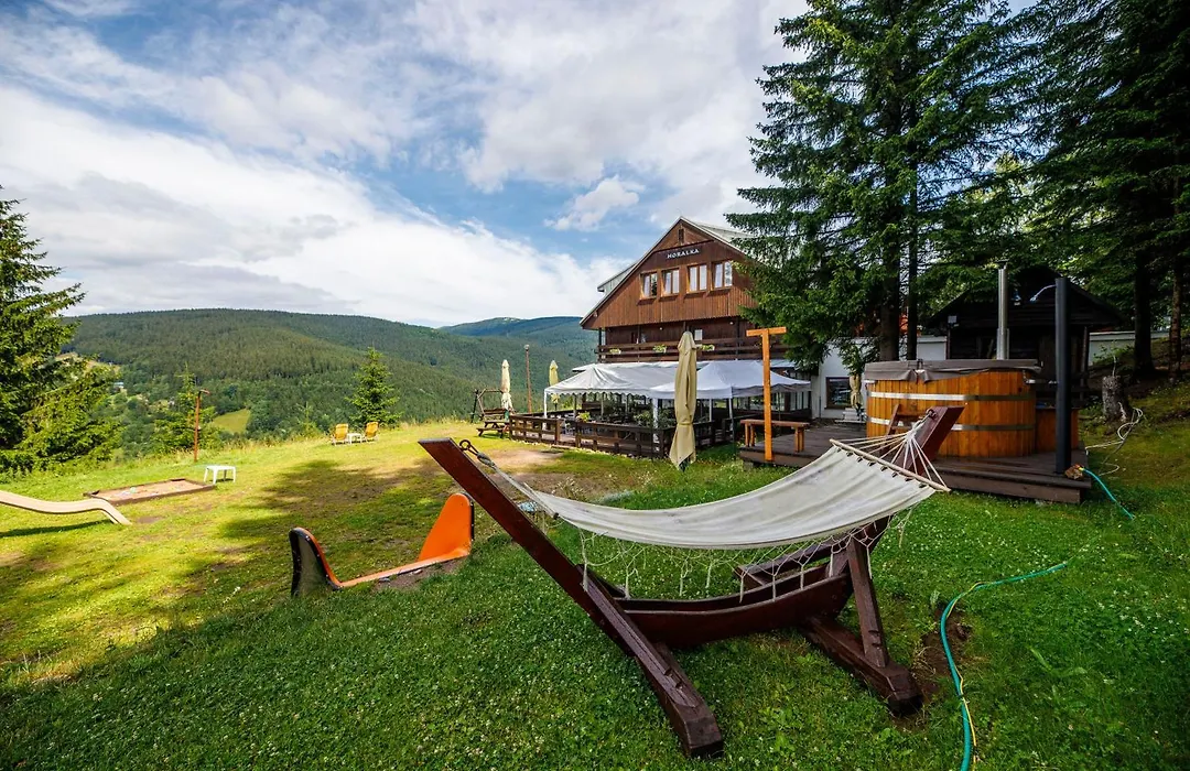 Pension Horalka-1