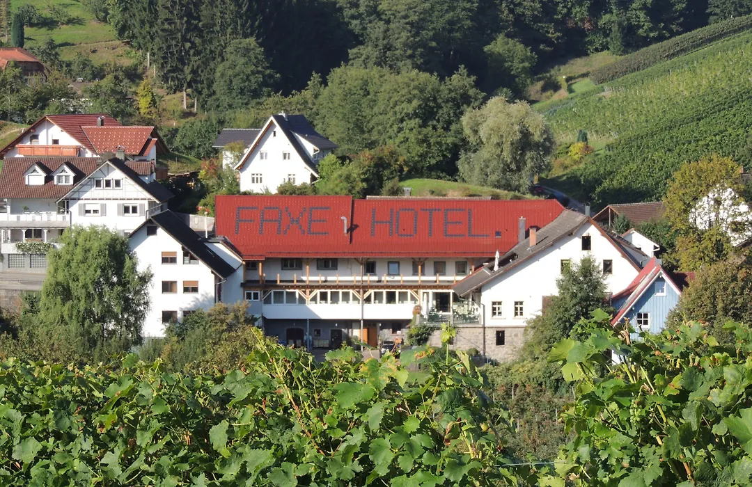 Hotel Faxe Schwarzwälder Hof-1