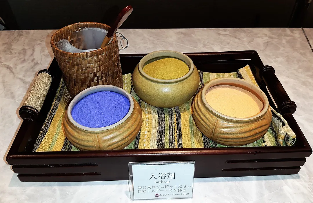 Hotel Sunroute Sapporo-1