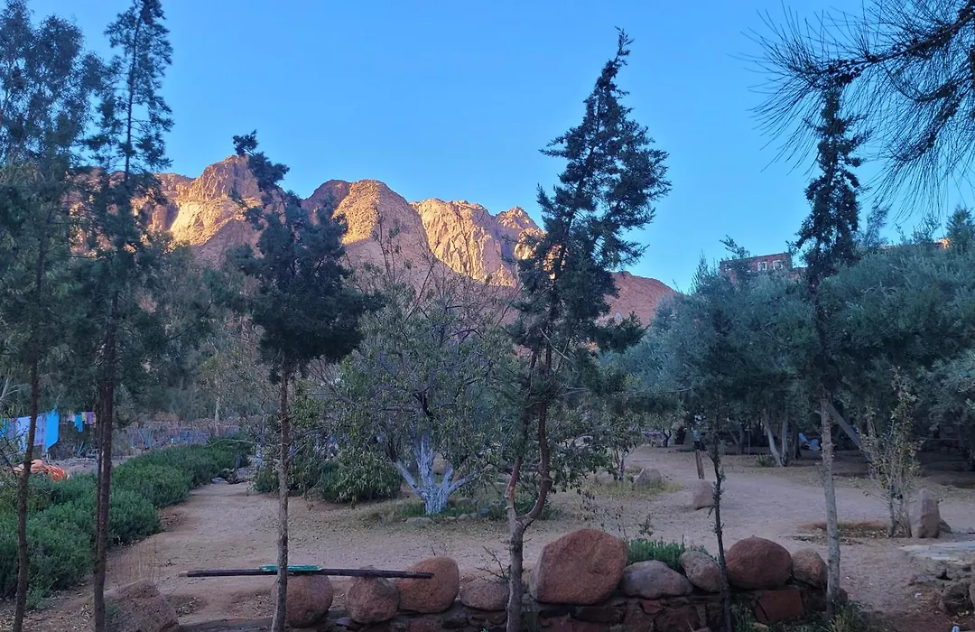 Fox Camp Farag-1