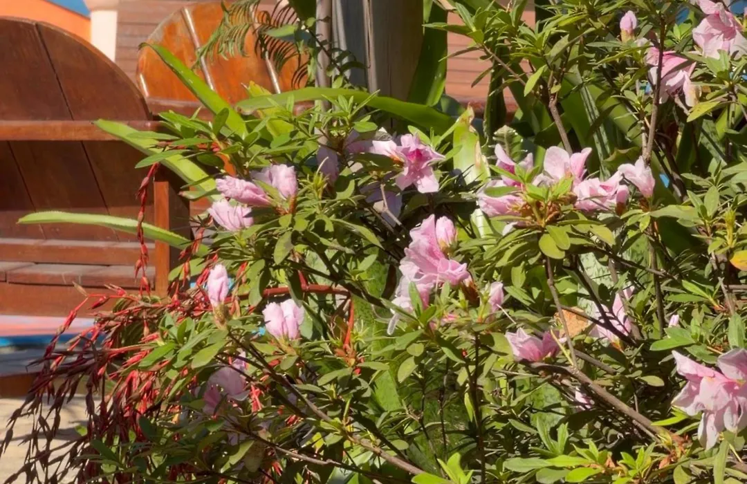 Pousada Bemvirá-1