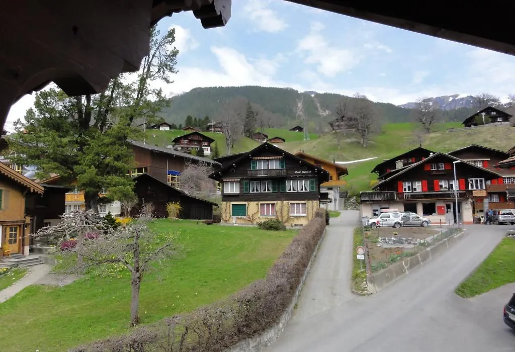 Hotel Steinbock Grindelwald-1