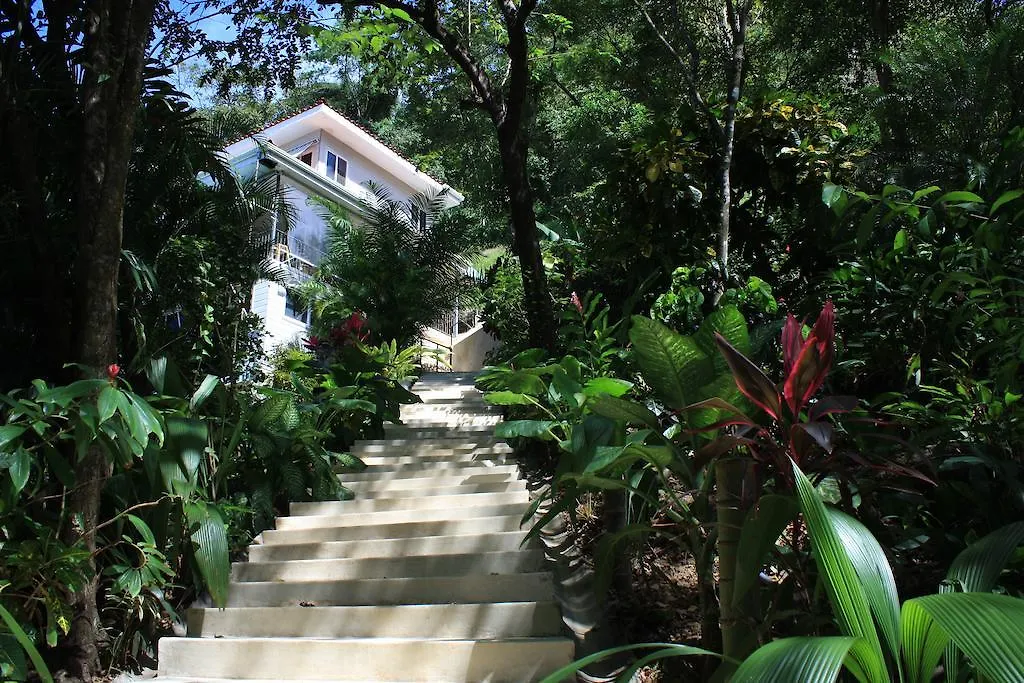 Funky Monkey Lodge-1
