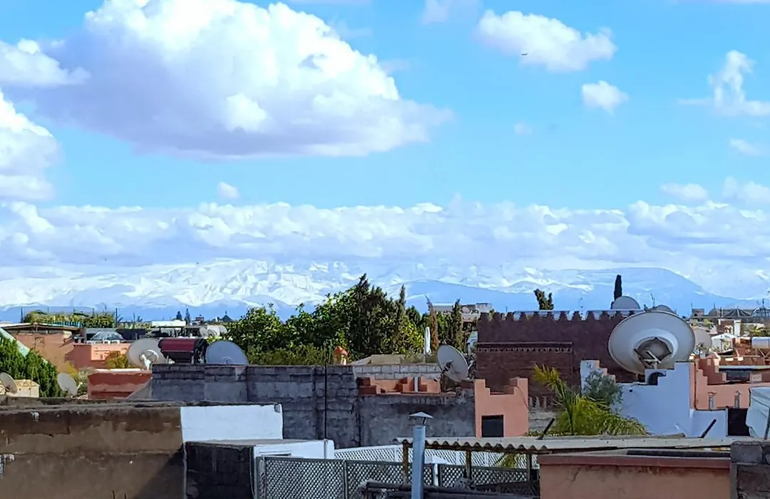 Riad Konouz-1
