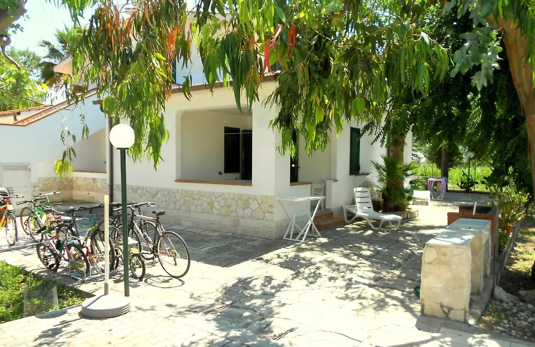 Residence Palm Garden-1