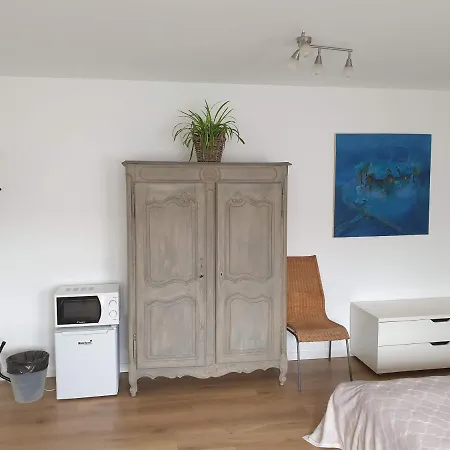 Maison Des Fleurs-3
