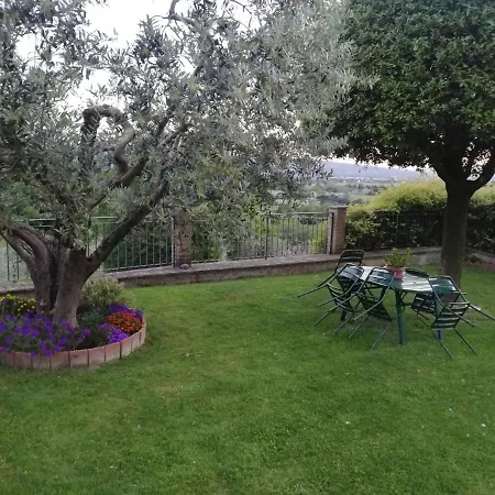 La Casa Tra Gli Ulivi-2