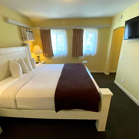 Hollywood Celebrity Hotel-2