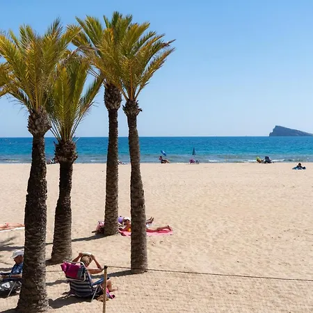 Medplaya Hotel Riudor - Adults Recommended-3