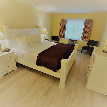 Hollywood Celebrity Hotel-3