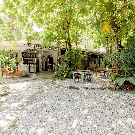 Bajo El Arbol B&B-2