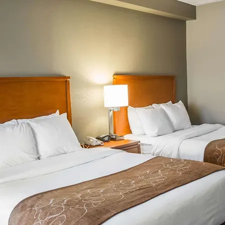 Vista Suites Near Island And Leconte Convention Center-3