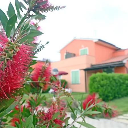 Rosa Dei Venti-2