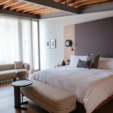 Colima 71 - Casa de Arte Hotel-3