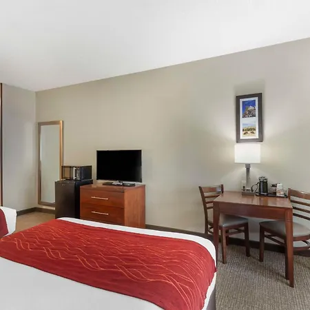 Comfort Inn & Suites Rapid City South - Mt Rushmore Gateway-2