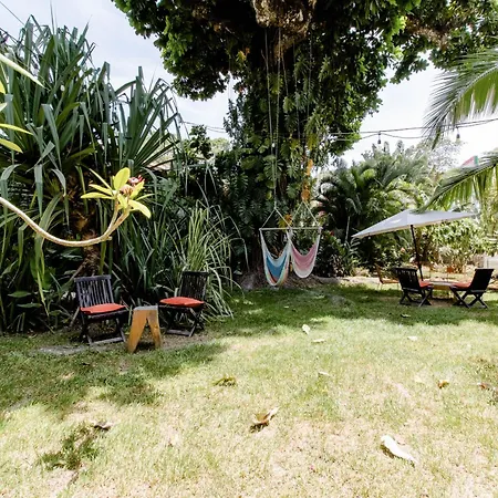 Bajo El Arbol B&B-3