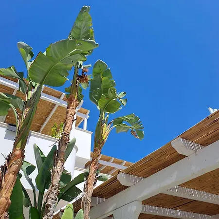 Casa Flora - Bed And Breakfast-2