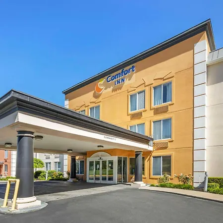 Comfort Inn Dickson-2