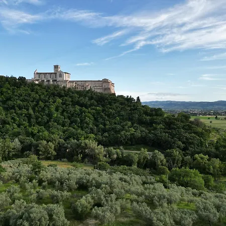 La Casa Tra Gli Ulivi-3