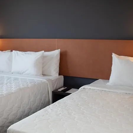 Comfort Hotel Presidente Prudente-2