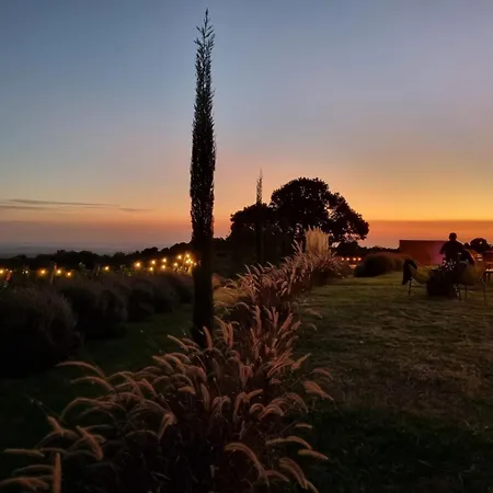 Vinícola Mirantus-2