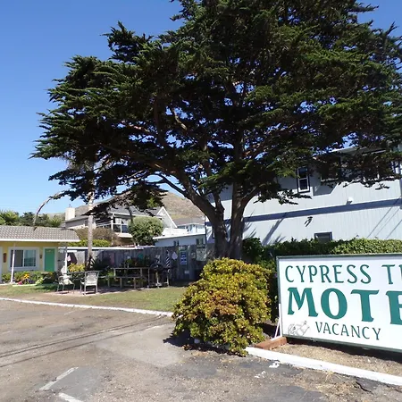 Cypress Tree Motel-2