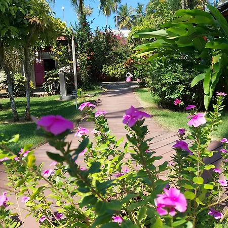 Hotel Casa Robinson-3