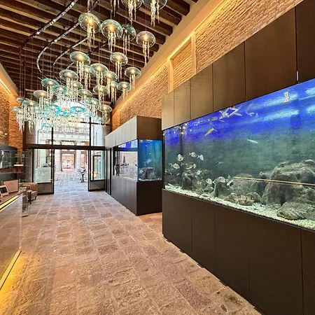 Hotel Aquarius Venice - Ascend Collection-2