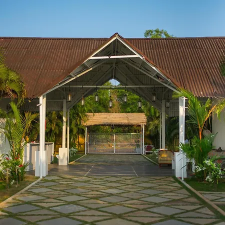 Royal Agonda-2