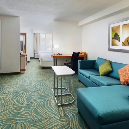 Springhill Suites By Marriott Chicago Southwest At Burr Ridge Hinsdale-2