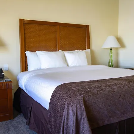 Best Western Plus Chihuahua Sacramento-2
