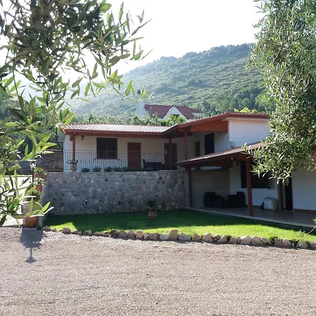 La valle del re-3