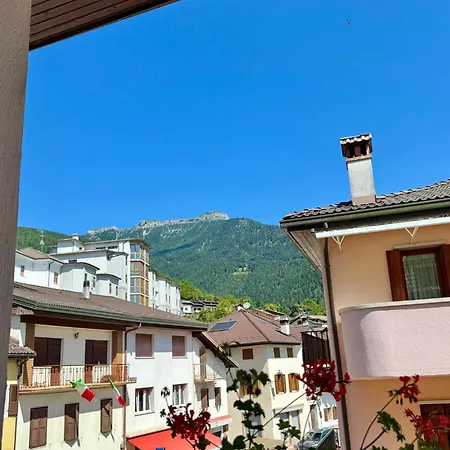 Stella d'Oro-3