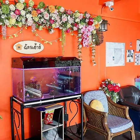 Chat House Chiang Rai-3