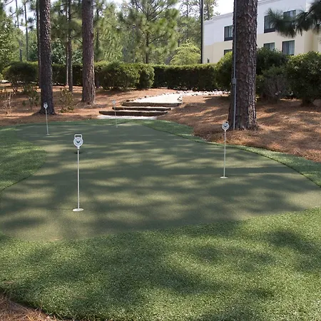 Springhill Suites Pinehurst Southern Pines-3