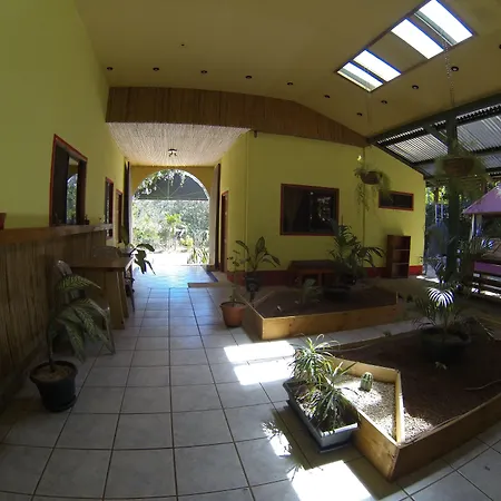 Indra Inn-3