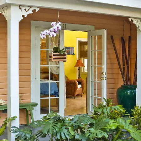 Tropical Inn-2
