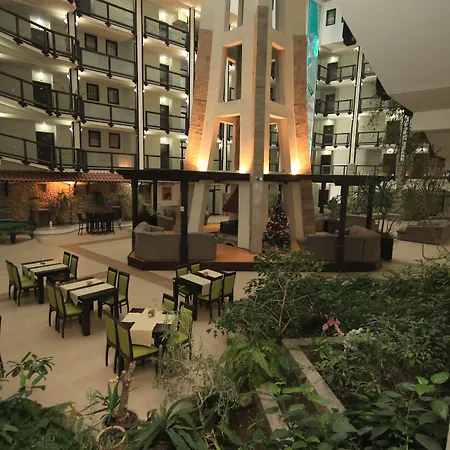 Mpm Hotel Guinness-3