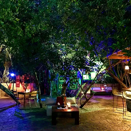 Hotel Noga-3