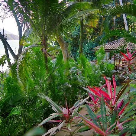 Atlantica Jungle Lodge-3