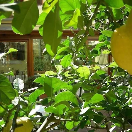 Hotel Select Garden-3